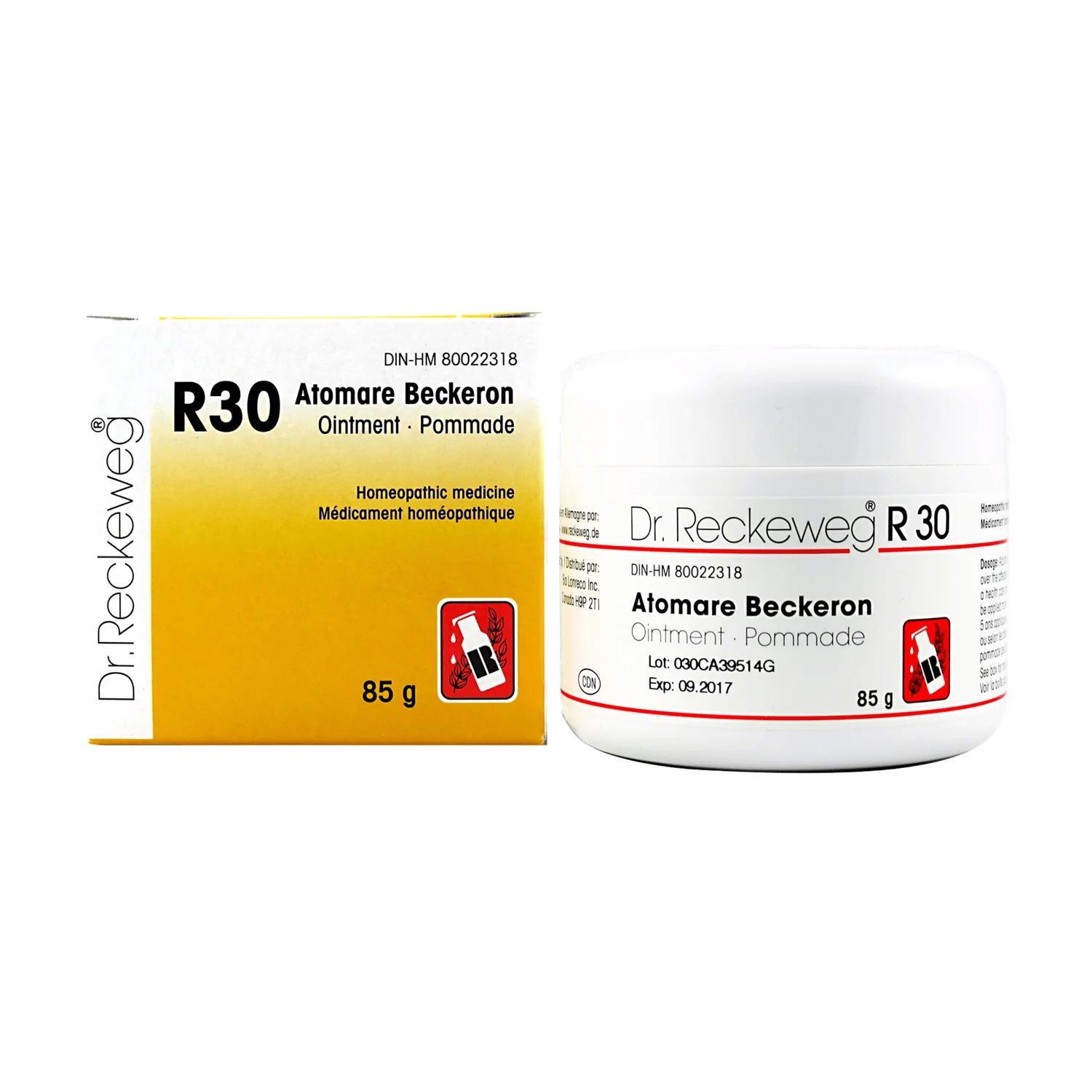 DR.RECKEWEG Suppléments R30 85g