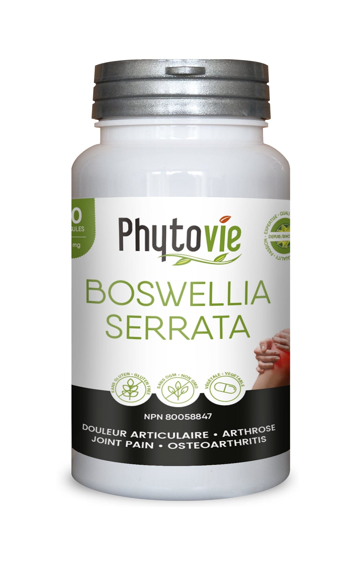 GOURMET NUTRITION Suppléments Boswellia (40% acide boswellique) 60caps