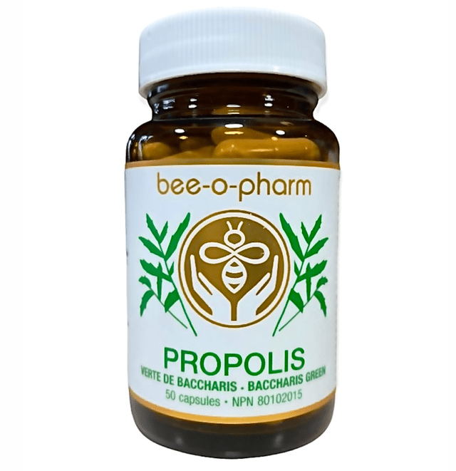 HAPPY CULTURE Suppléments Capsules de propolis verte de Baccharis 50caps