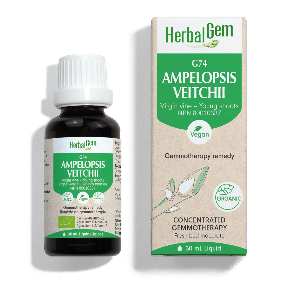 HERBAL GEM Suppléments Ampelopsis veitchii bio (G-74) 30ml