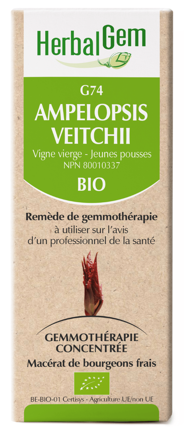HERBAL GEM Suppléments Ampelopsis veitchii bio (G-74) 50ml