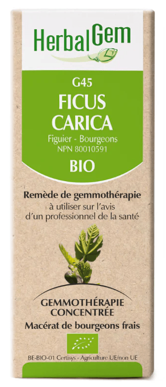 HERBAL GEM Suppléments Ficus carica bio (G-45) 50ml