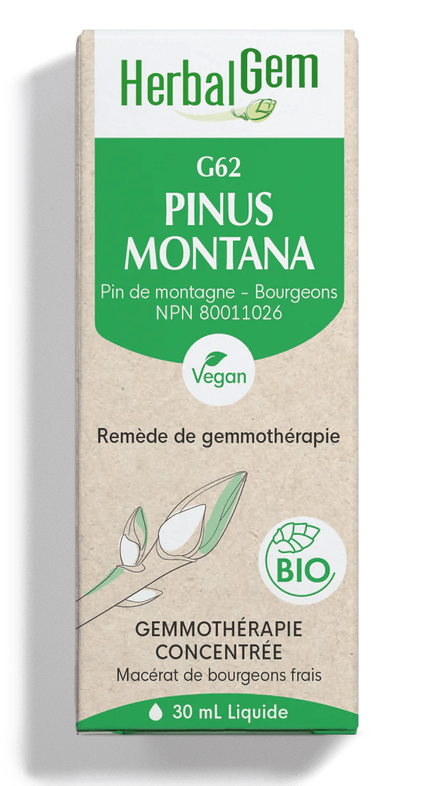 HERBAL GEM Suppléments Pinus montana bio (G-62) 30ml