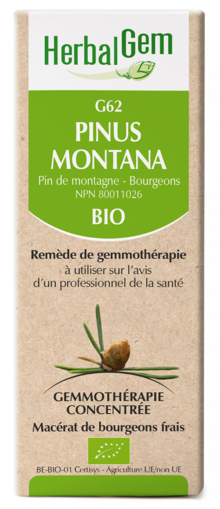 HERBAL GEM Suppléments Pinus montana bio (G-62) 50ml