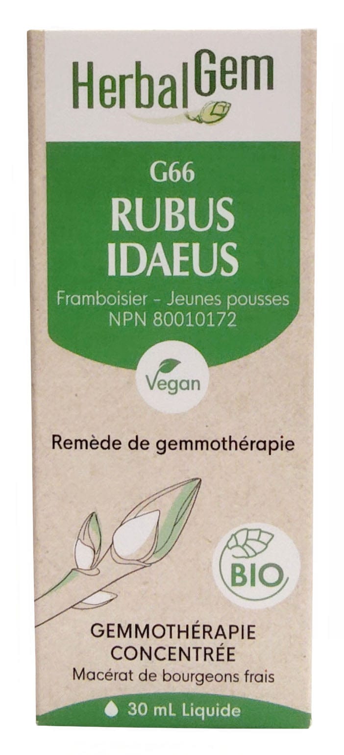 HERBAL GEM Suppléments Rubus idaeus bio (G-66) 30ml