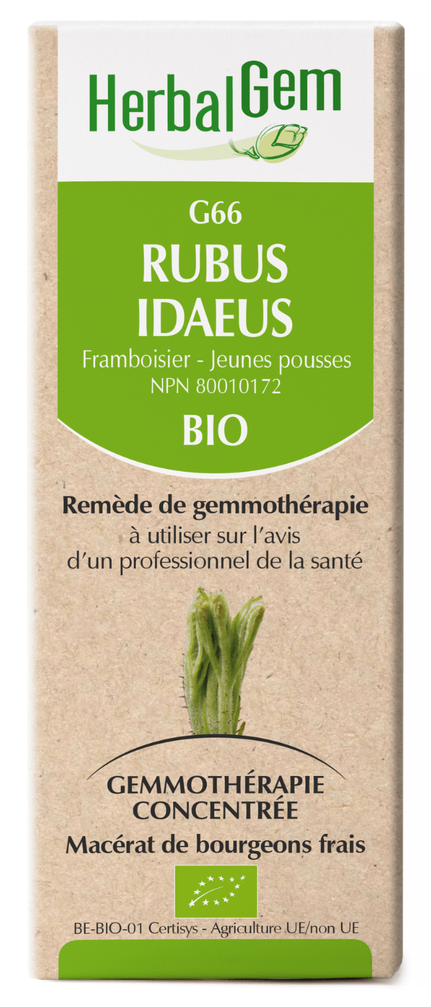 HERBAL GEM Suppléments Rubus idaeus bio (G-66) 50ml