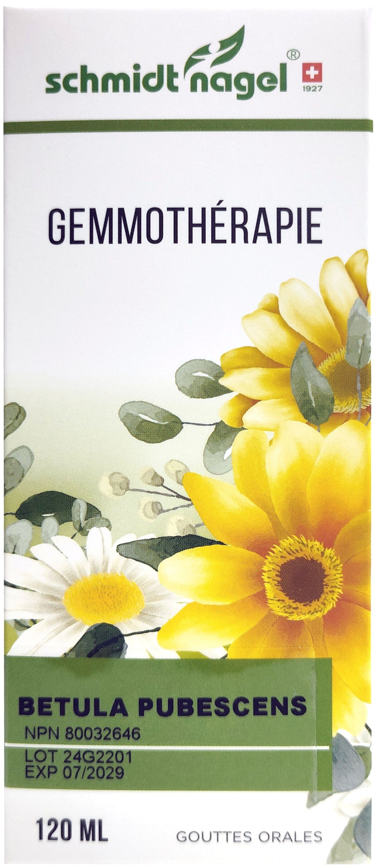 HOMEODEL Suppléments M.G. Betula pubescens 120ml