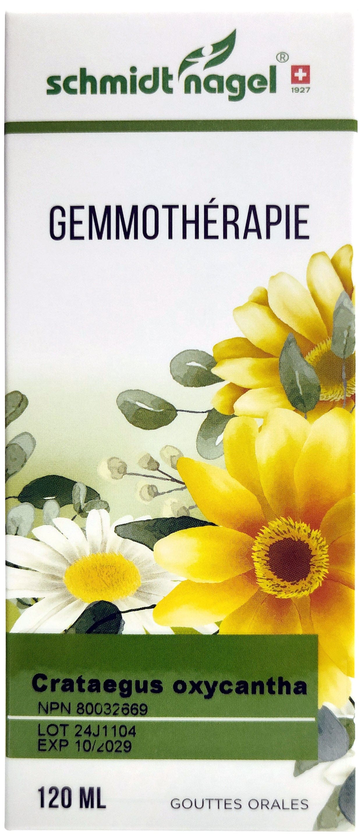 HOMEODEL Suppléments M.G. Crataegus oxyacantha 120ml