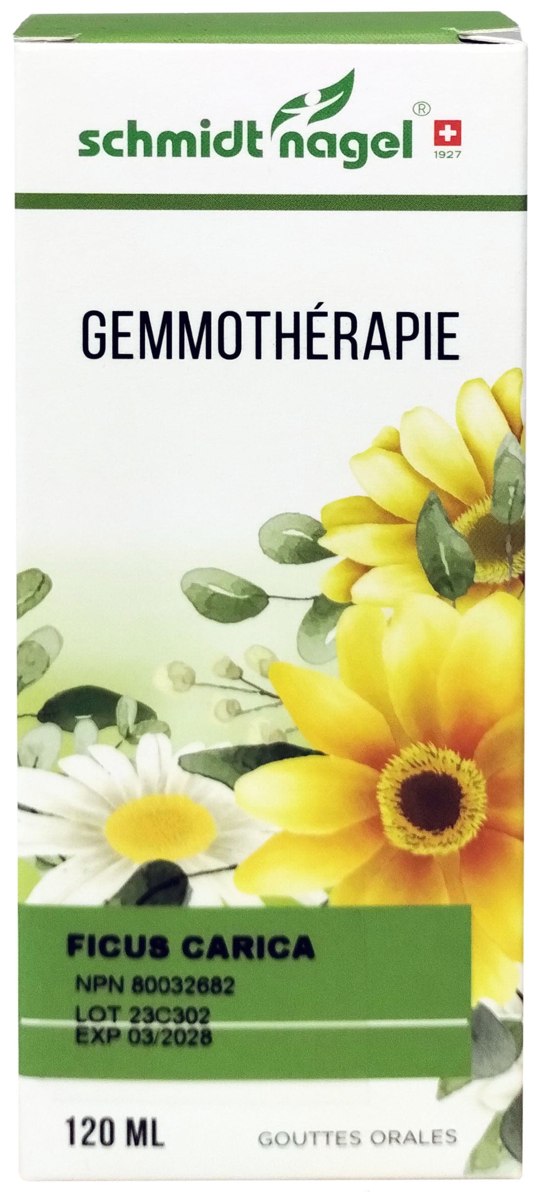 HOMEODEL Suppléments M.G. Ficus carica 120ml