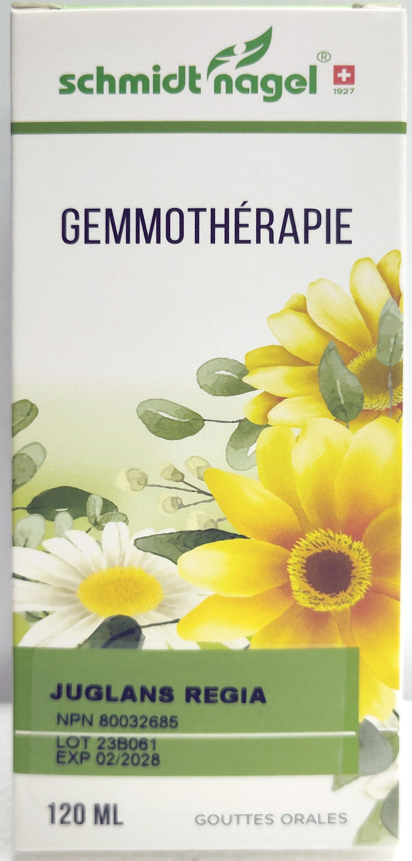 HOMEODEL Suppléments M.G. Juglans regia noyer  120ml