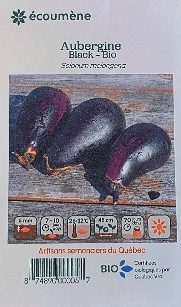 JARDINS DE L'ÉCOUMÈNE Épicerie Semence aubergine black bio (un)