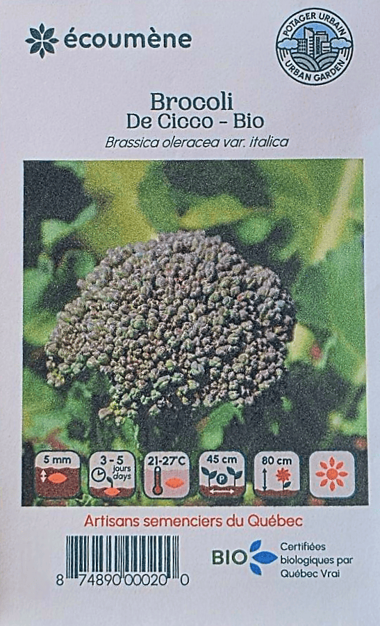 JARDINS DE L'ÉCOUMÈNE Épicerie Semence brocoloi de Cicco bio (un)