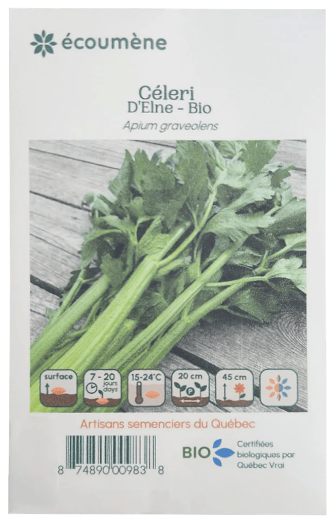 JARDINS DE L'ÉCOUMÈNE Épicerie Semence céleri d'Elne bio (un)