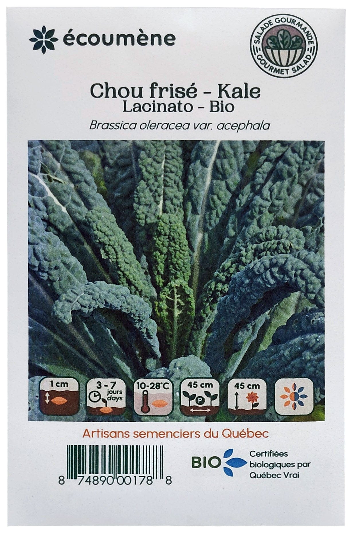 JARDINS DE L'ÉCOUMÈNE Épicerie Semence chou frisé kale Lacinato bio (un)