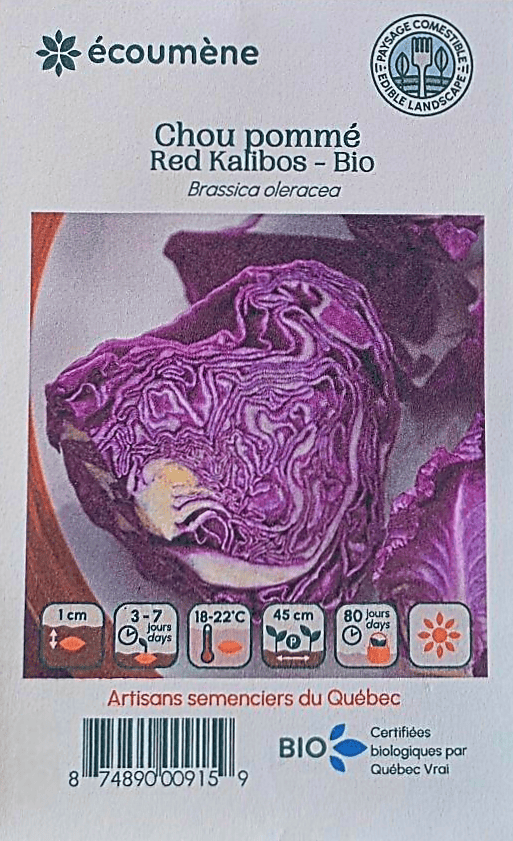 JARDINS DE L'ÉCOUMÈNE Épicerie Semence chou pommé red kalibos bio (un)