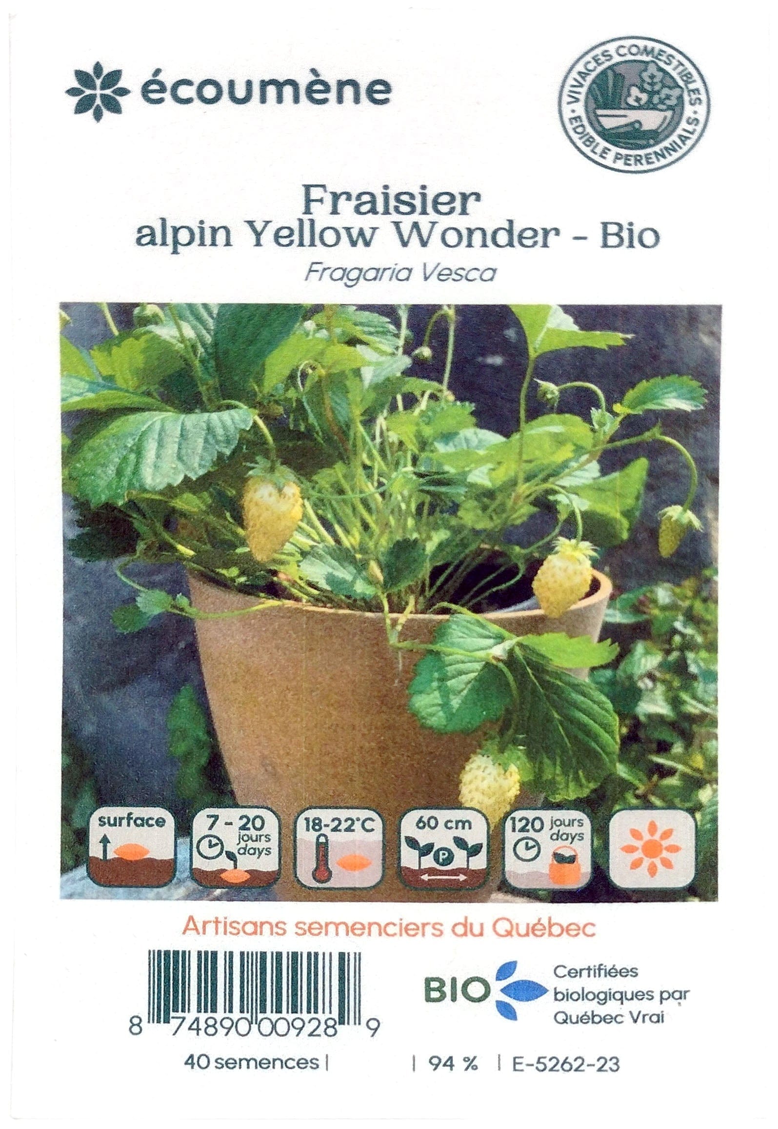 JARDINS DE L'ÉCOUMÈNE Épicerie Semence fraisier alpin yellow wonder bio (un)
