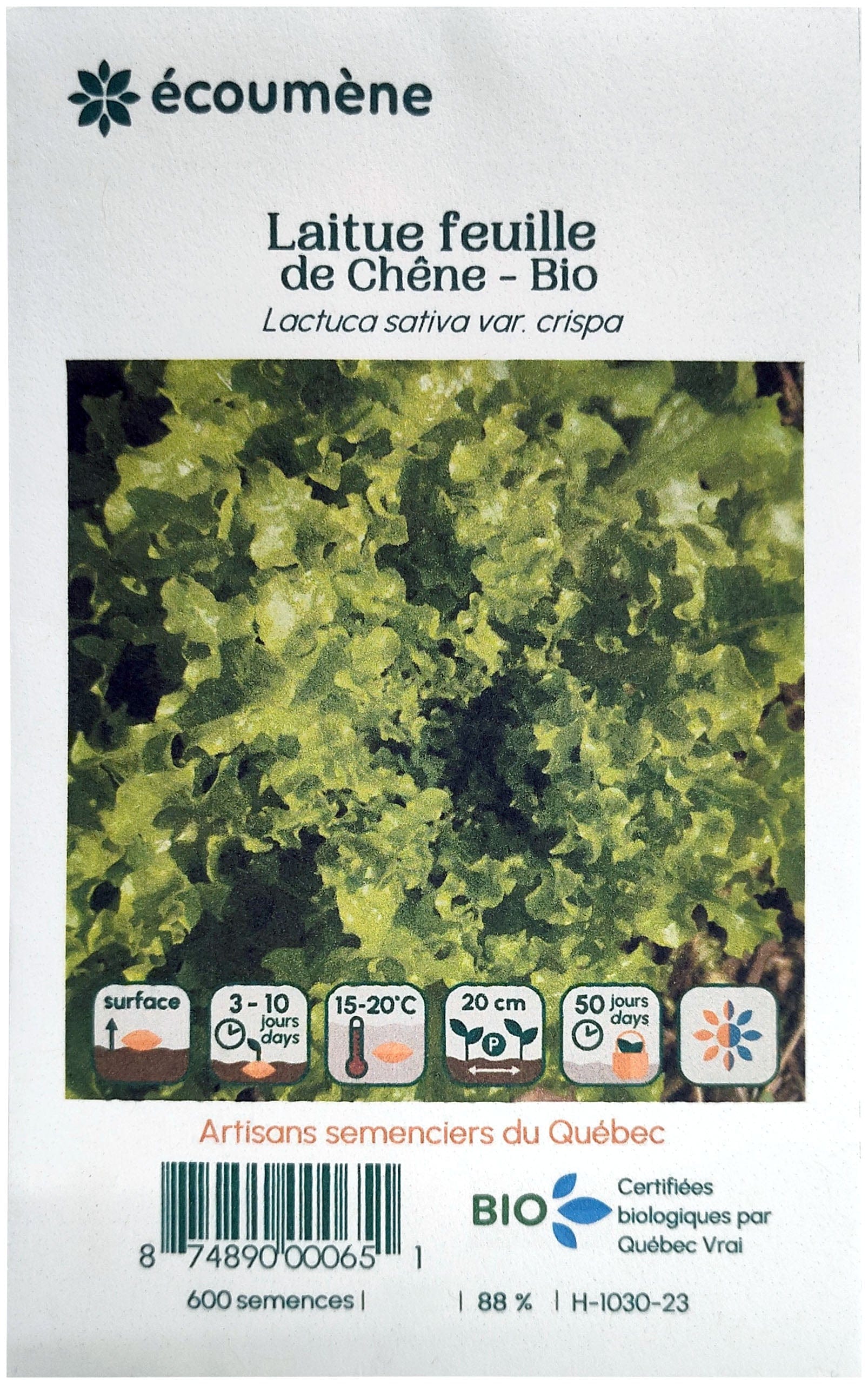 JARDINS DE L'ÉCOUMÈNE Épicerie Semence laitue en feuille de Chêne bio (un)