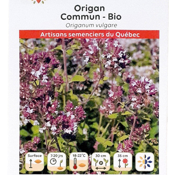 Semences Origan - Italien - Semences Ancestrales Québec
