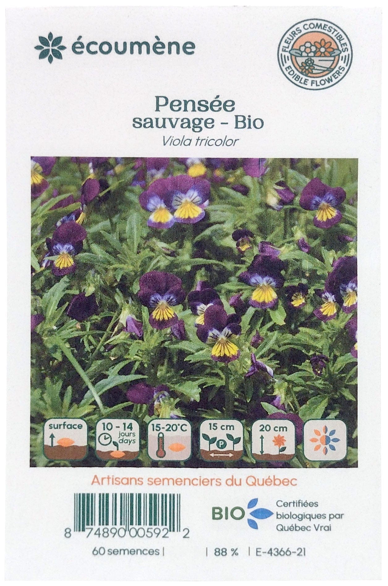 JARDINS DE L'ÉCOUMÈNE Épicerie Semence pensée sauvage bio (un)