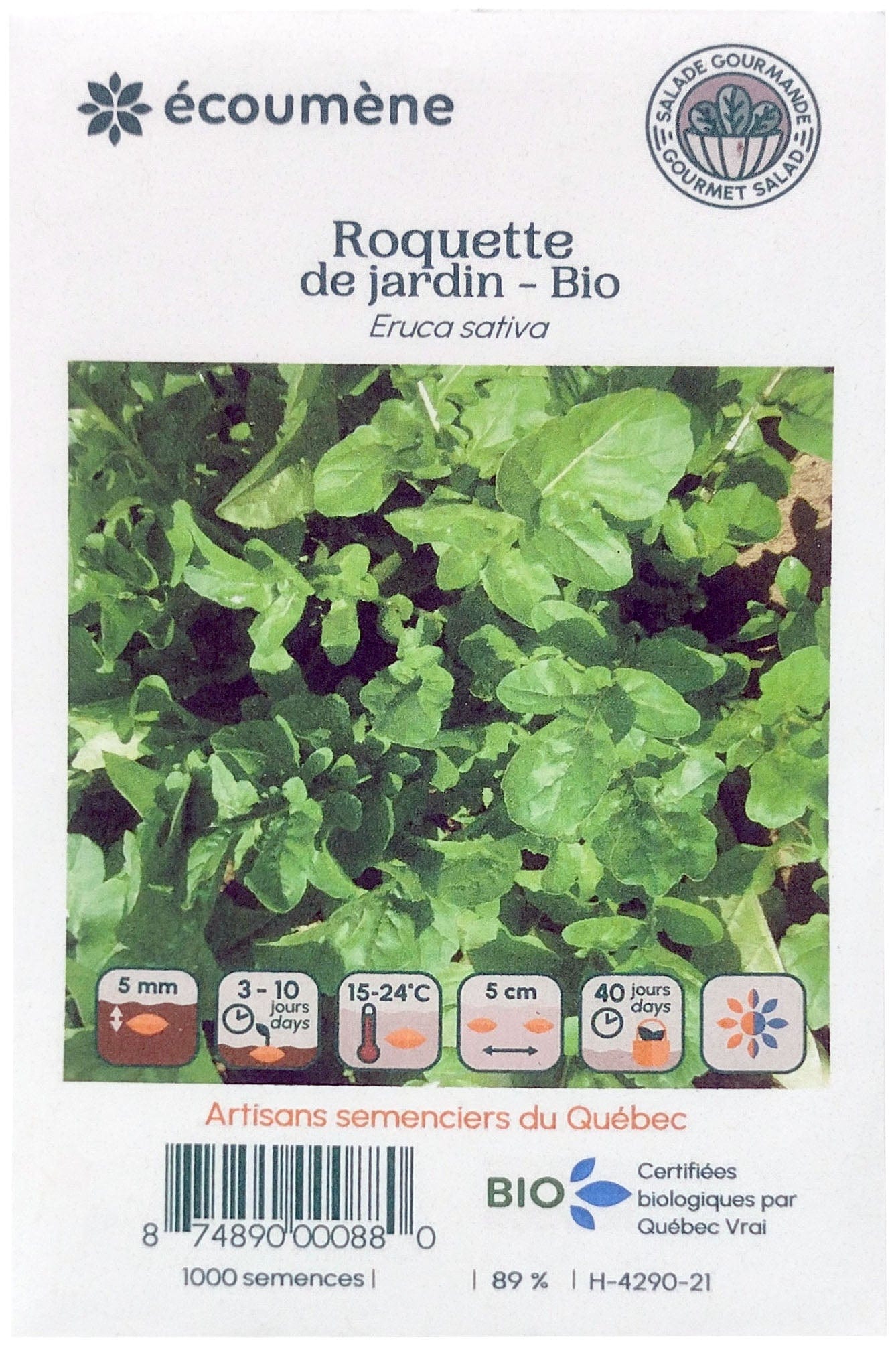JARDINS DE L'ÉCOUMÈNE Épicerie Semence Roquette de jardin bio (un)