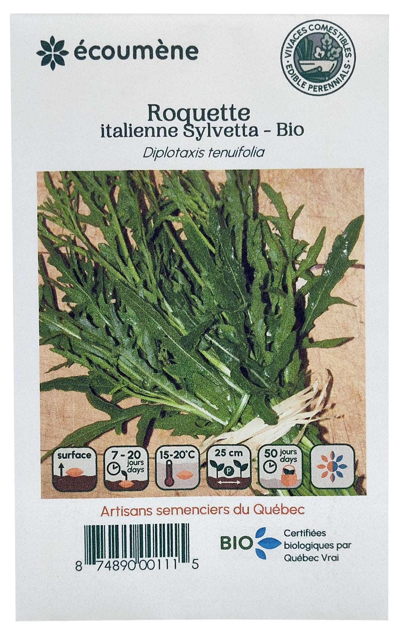 JARDINS DE L'ÉCOUMÈNE Épicerie Semence roquette italienne Sylvetta bio (un)