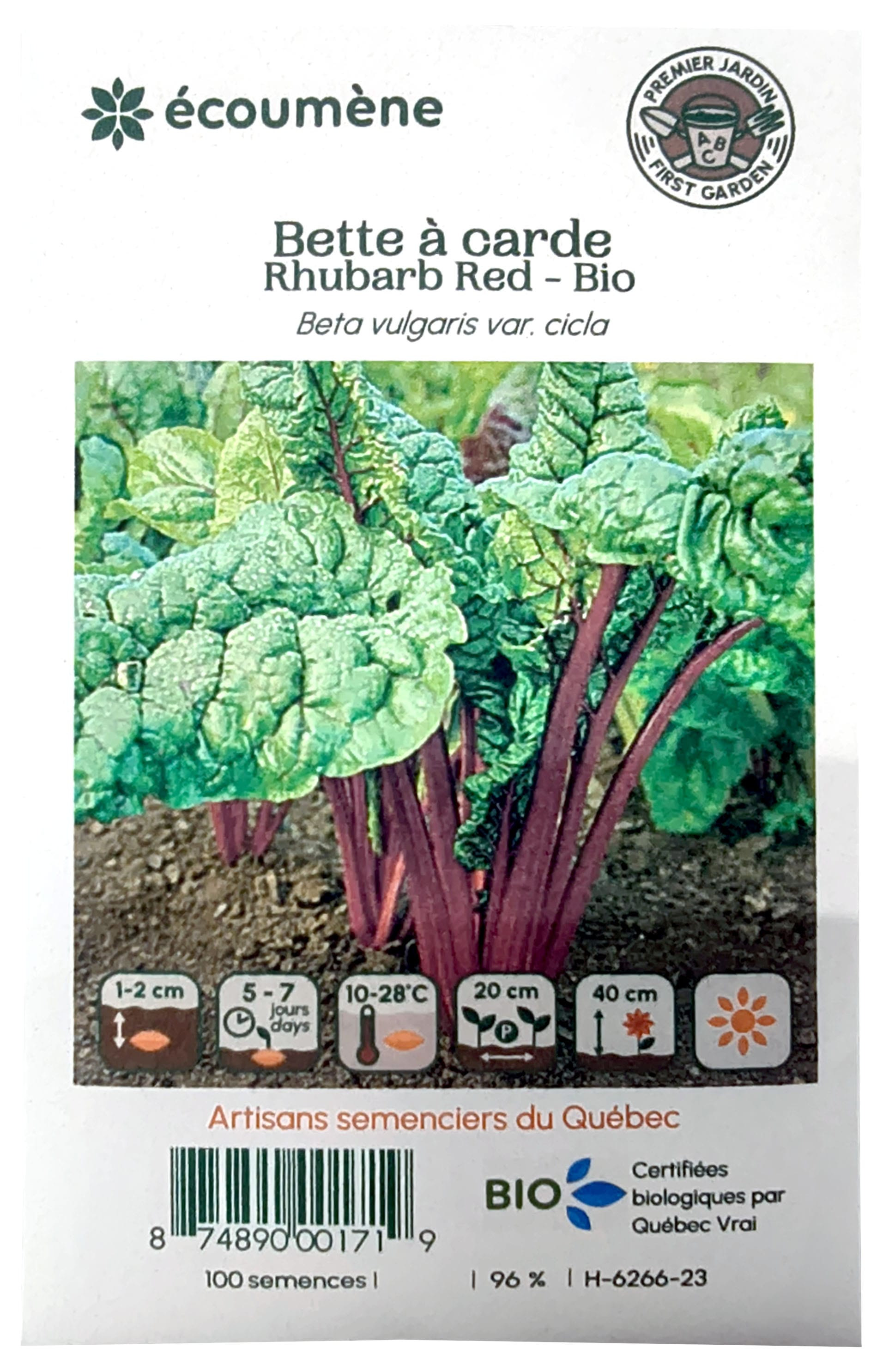 L'ÉCOUMÈNE Épicerie Semence Bette à carde rhubarb red bio (un)