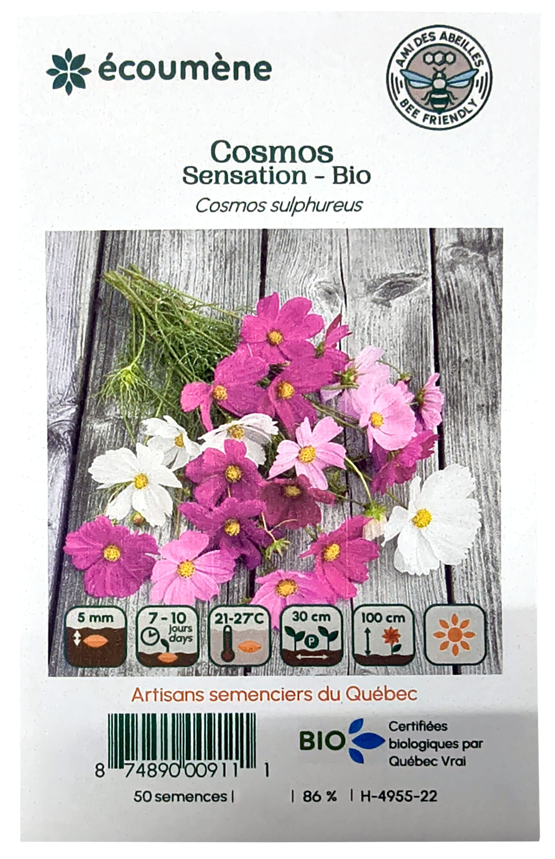 L'ÉCOUMÈNE Épicerie Semence Cosmos sensation bio (un)