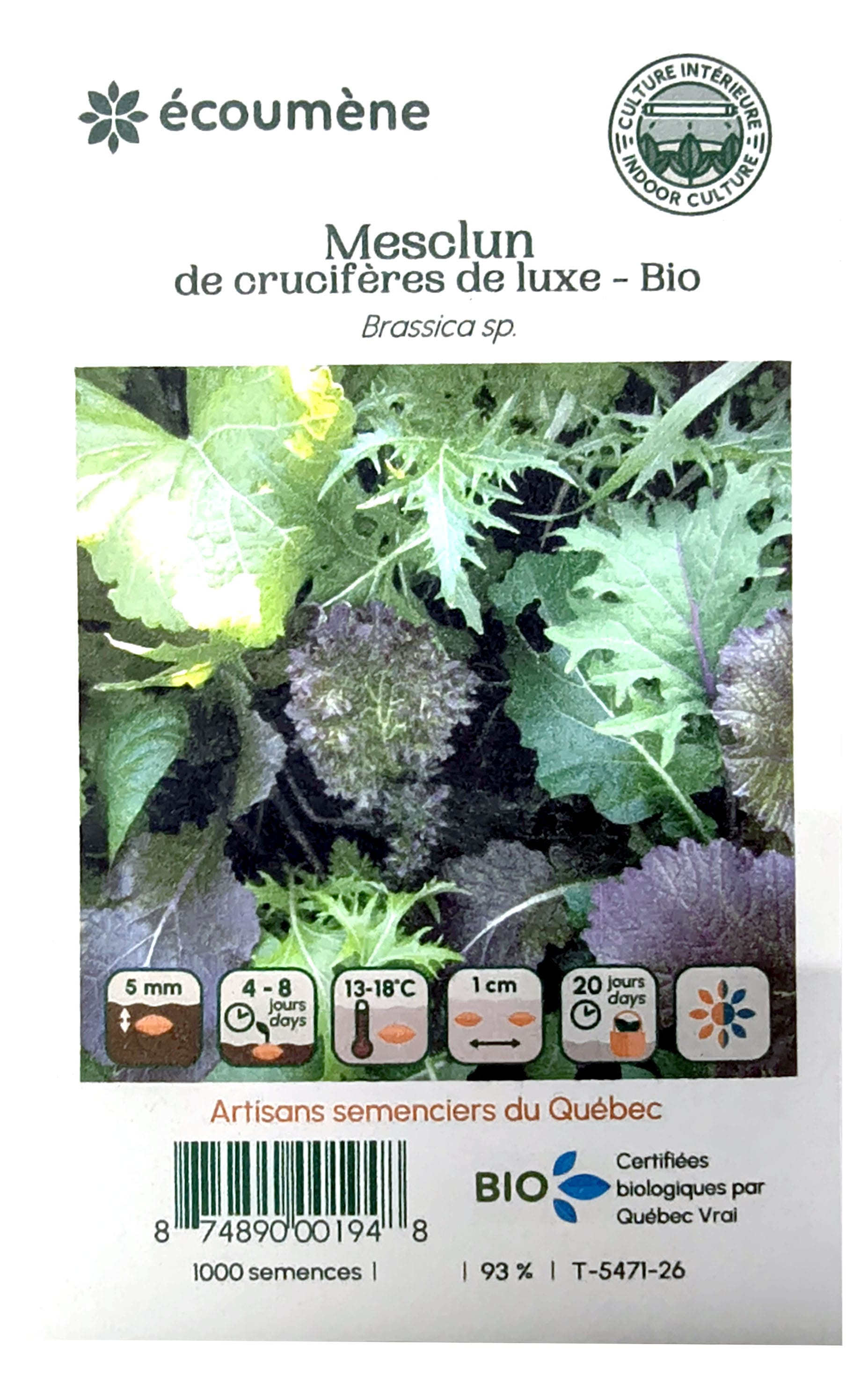 L'ÉCOUMÈNE Épicerie Semence Mesolun de crucifères de luxe bio (un)