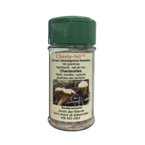 LE SEL DU PÈLERIN Épicerie Sel aux champignons bio 100g