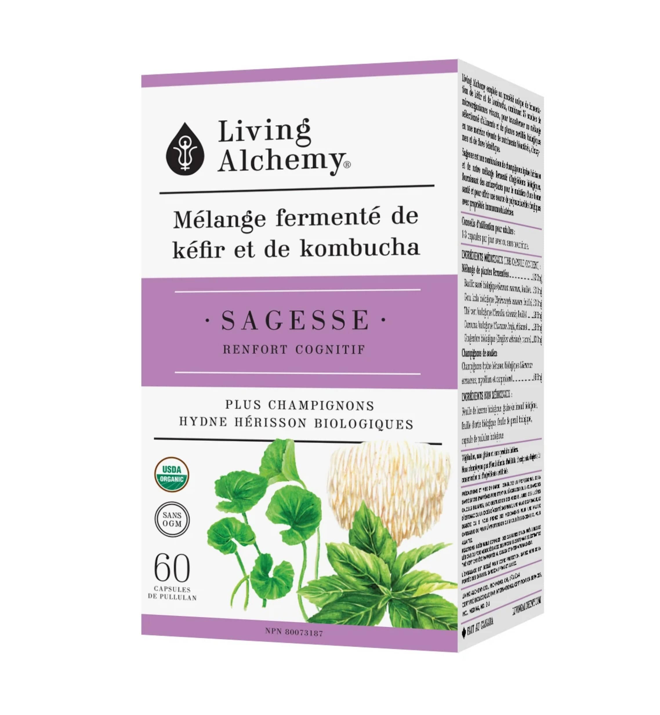 LIVING ALCHEMY Suppléments Mélange fermenté de kéfir et de kombucha - Sagesse (renfort cognitif)  60caps