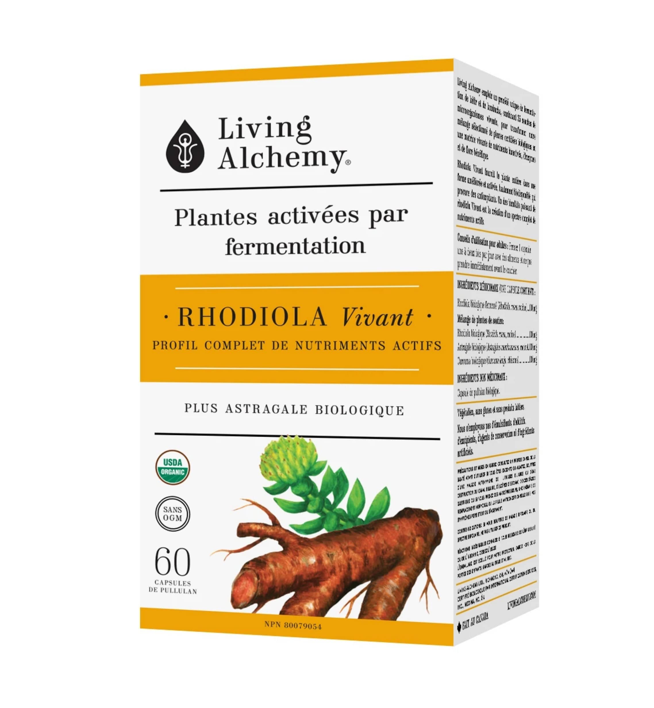 LIVING ALCHEMY Suppléments Plantes activées par fermentation - Rhodiola vivant  60caps