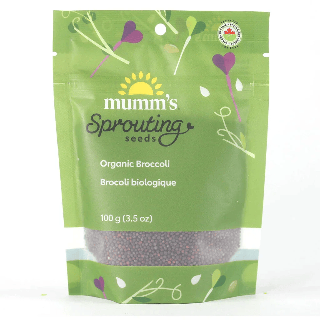 MUMM'S Épicerie Brocoli bio 100g pour germination