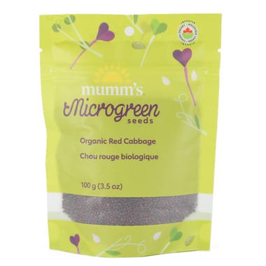 MUMM'S Épicerie Chou rouge bio 100g pour germination