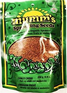 MUMM'S Épicerie Cresson frisé bio 250g