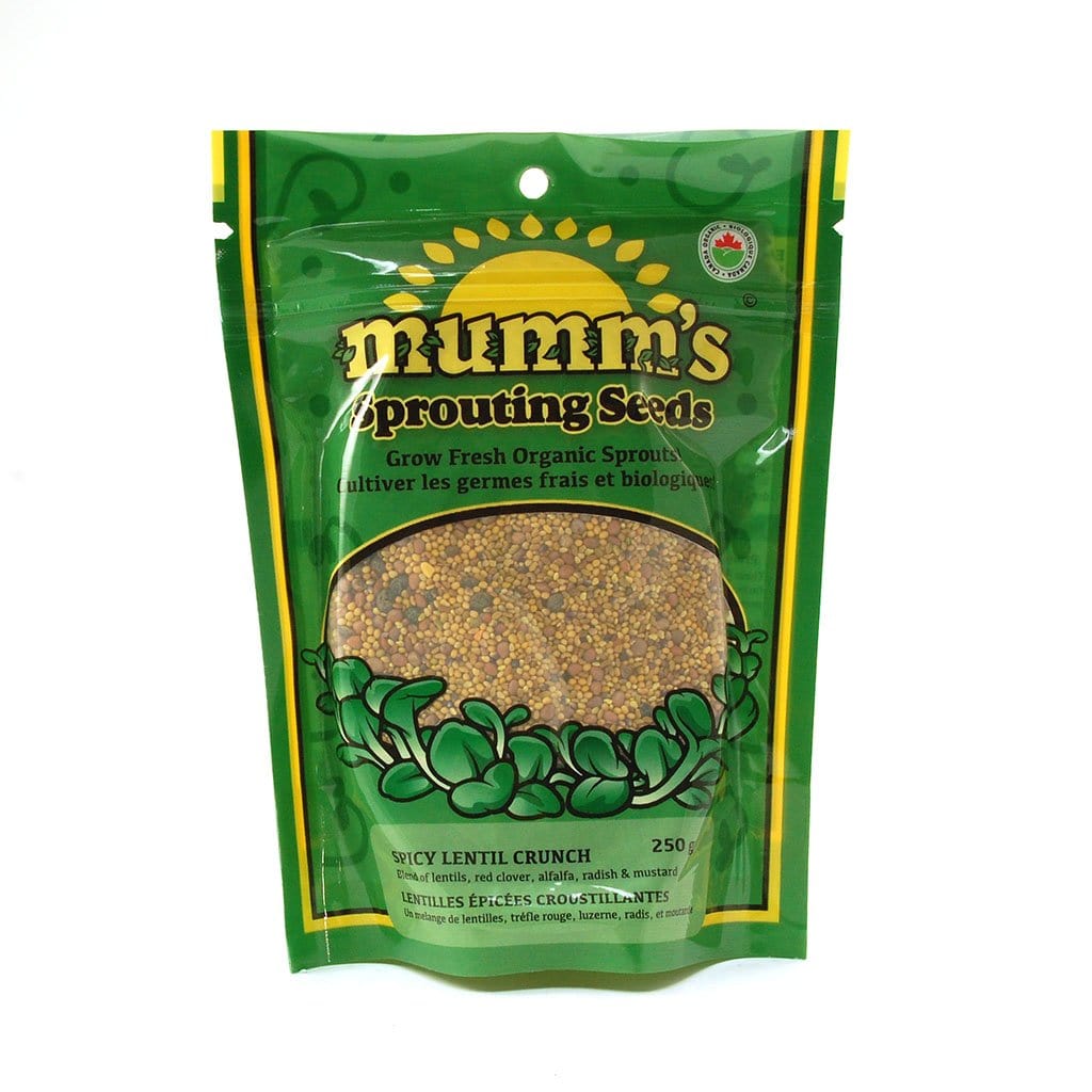 MUMM'S Épicerie Lentilles épicées croustillantes bio 250g