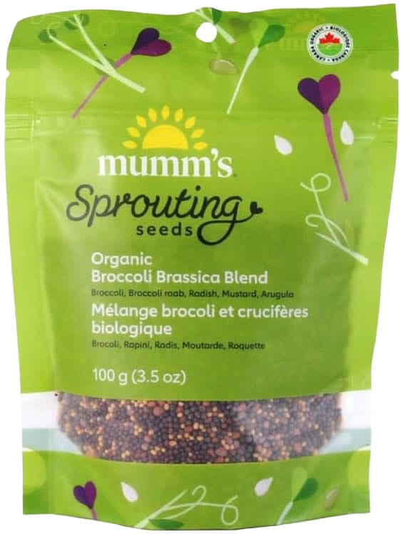 MUMM'S Épicerie Mélange brocoli et crucifères (brocoli, trèfle, radis, moutarde, roquette) bio 100g pour germination