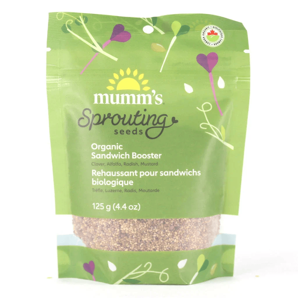 MUMM'S Épicerie Rehaussant pour sandwichs (trègle, luzerne, radis, moutarde) bio 125g pour germination