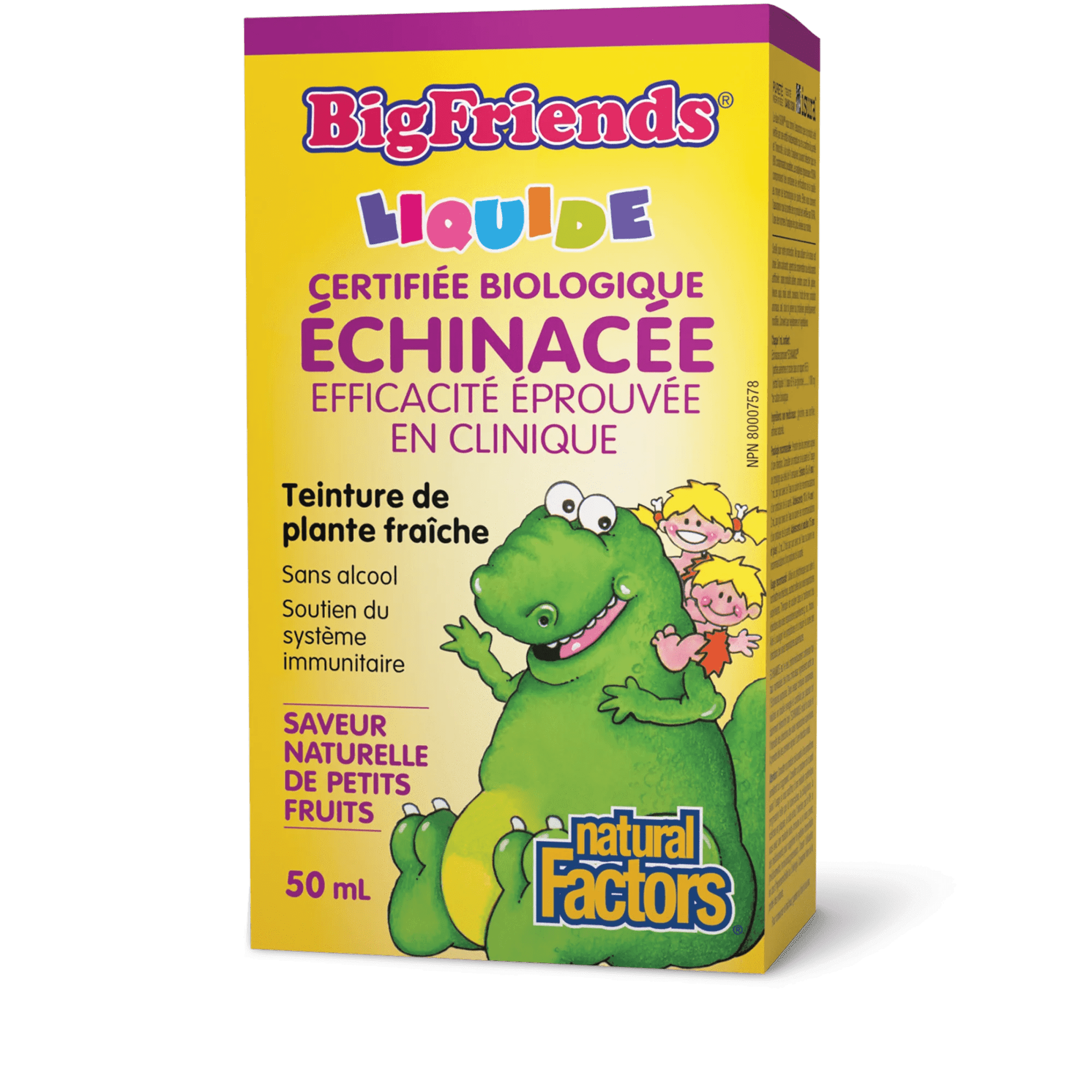 NATURAL FACTORS Suppléments Échinacée bio (petits fruits)  50ml