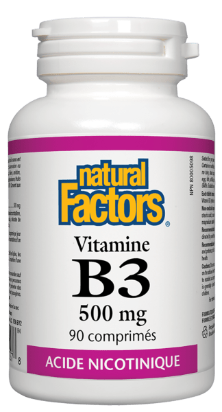 NATURAL FACTORS Suppléments Vitamine B3 (500mg) 90comp