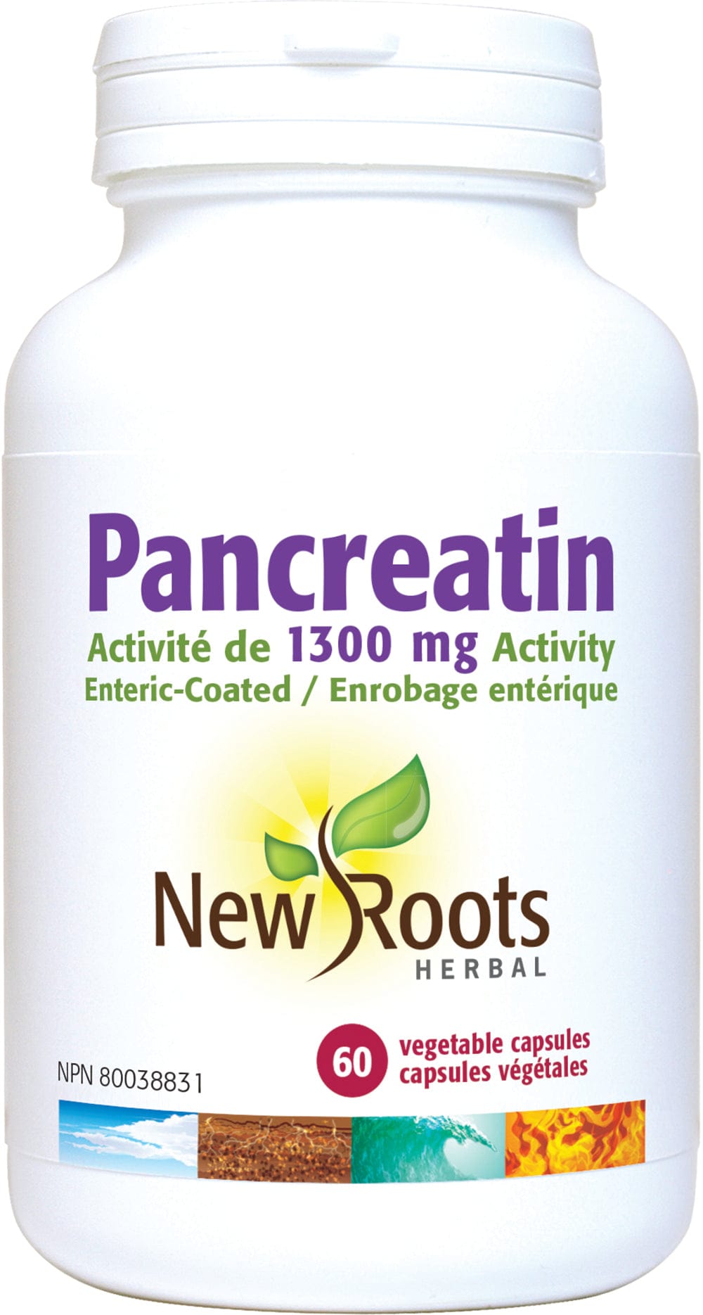 NEW ROOTS HERBAL Suppléments Pancréatine activité de 1300mg 60caps