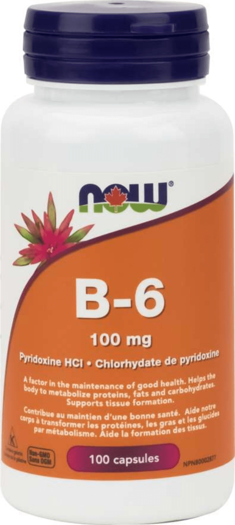 NOW Suppléments Vitamine B-6 100mg 100caps