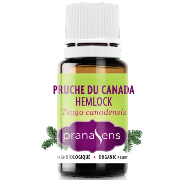 PRANASENS Suppléments Huile essentielle pruche du Canada bio (tsuga canadensis) 15ml