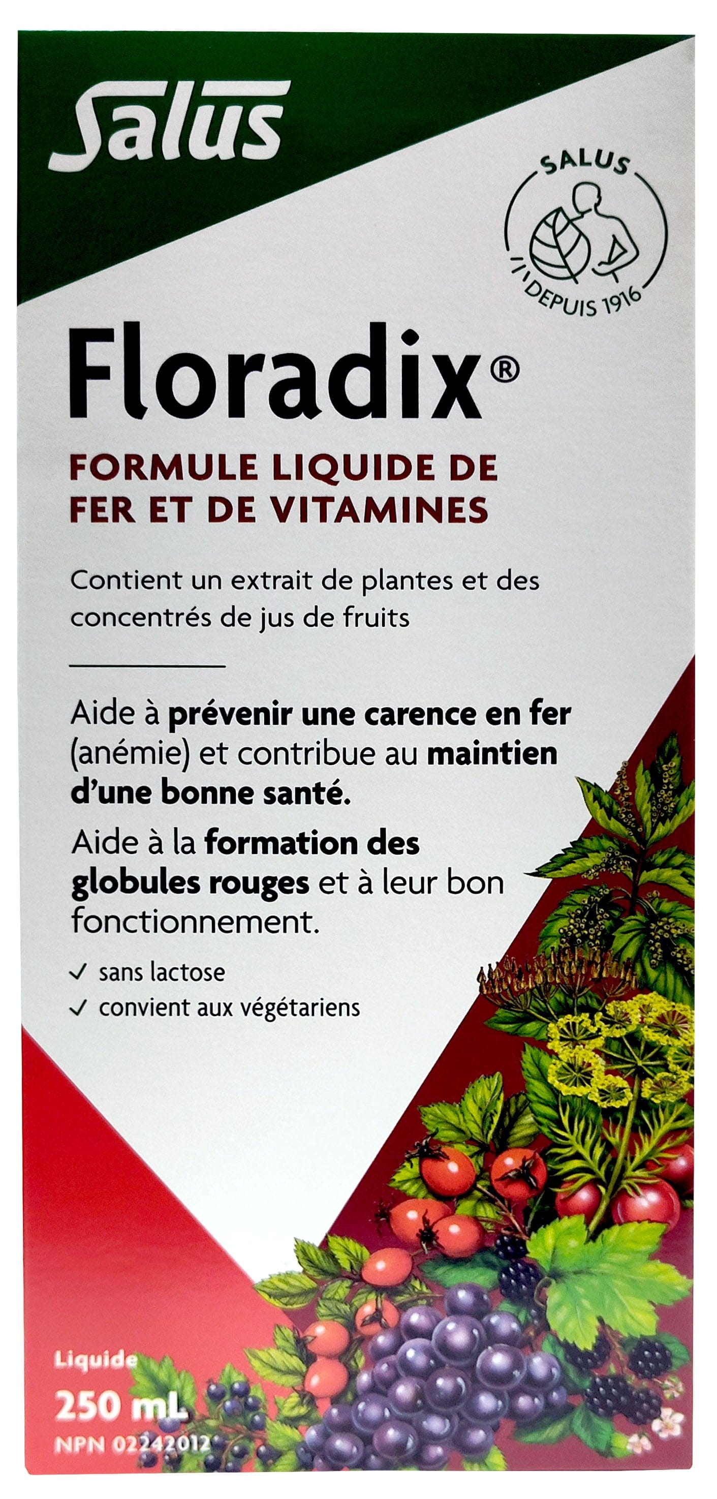 SALUS Suppléments Floradix 250ml