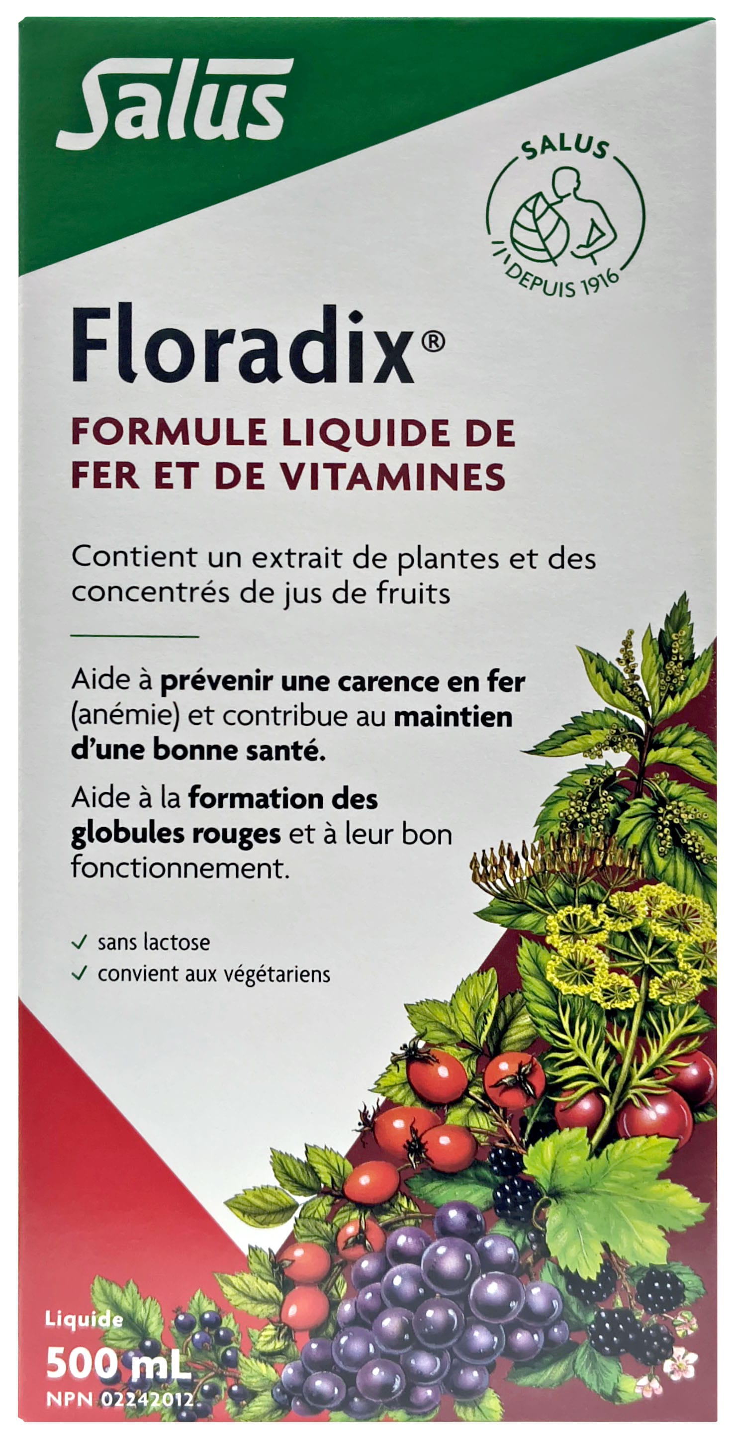 SALUS Suppléments Floradix 500ml
