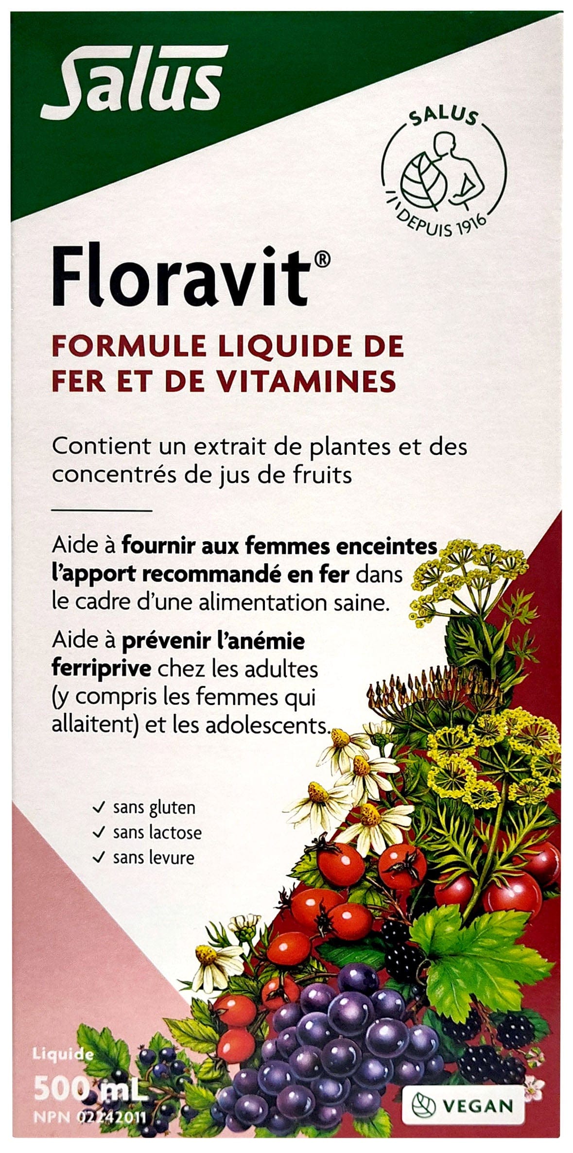 SALUS Suppléments Floravit (formule liquide de fer vitaminée) 500ml