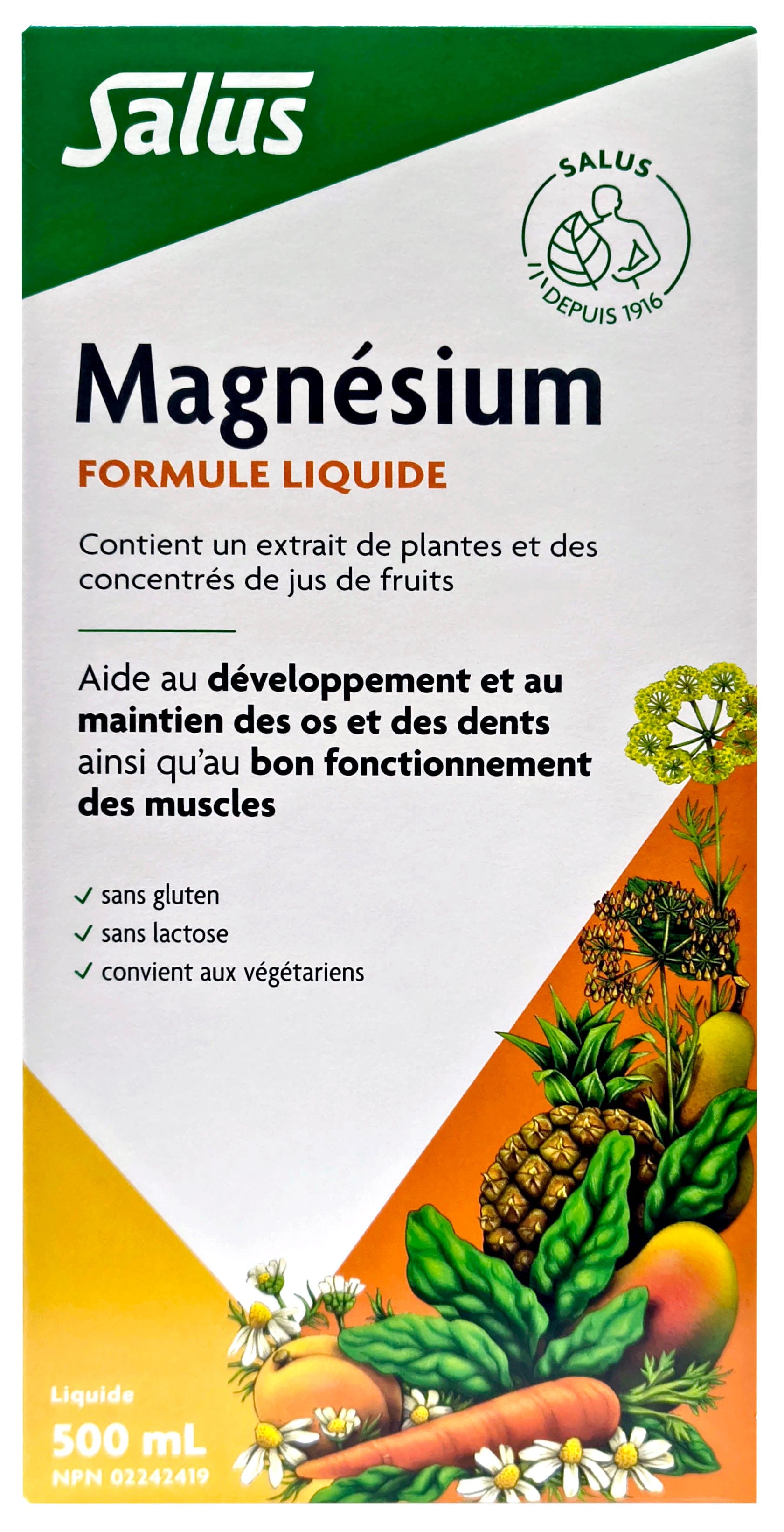 SALUS Suppléments Magnésium 500ml