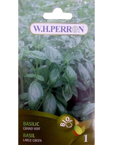 W.H. PERRON Épicerie Semence basilic grand vert bio (un)