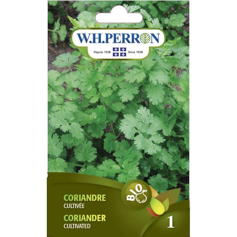 W.H. PERRON Épicerie Semence coriande cultivée bio (un)