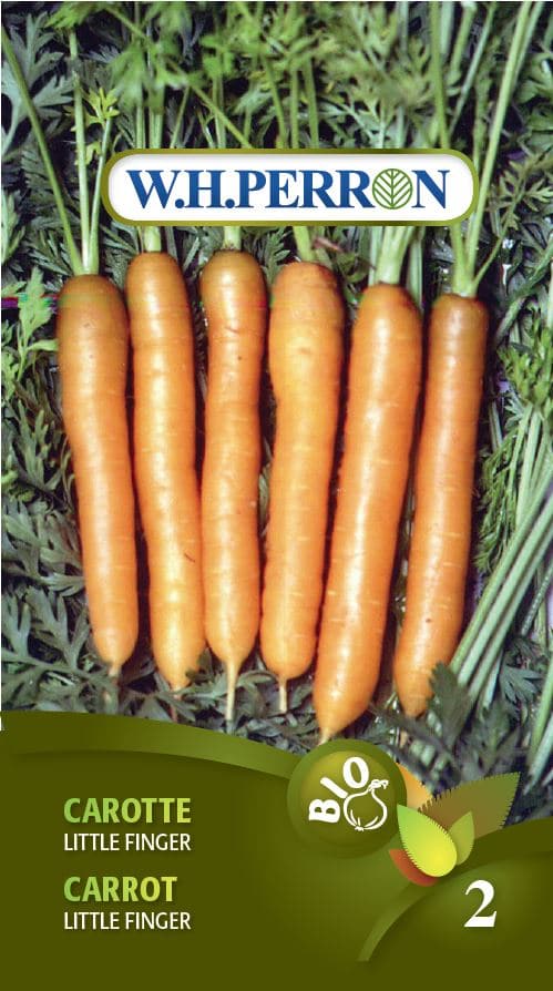 Organic little finger carrot seed (un)
