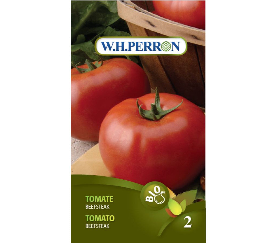 Organic beefsteak tomato seed (one)